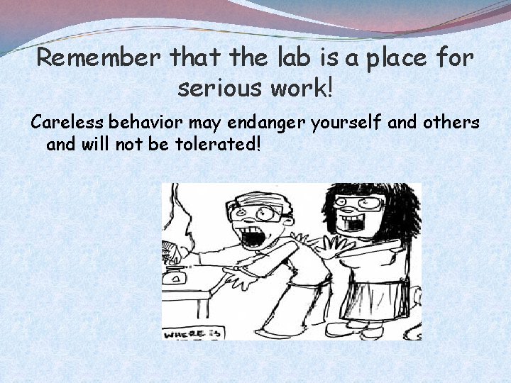 Remember that the lab is a place for serious work! Careless behavior may endanger