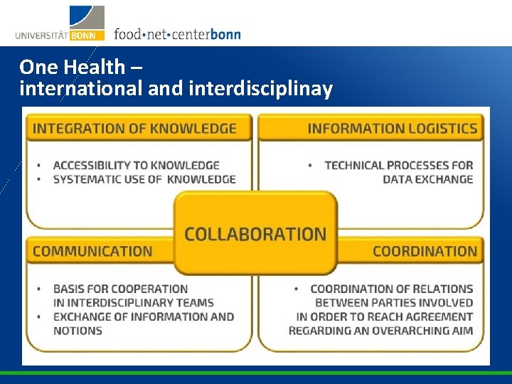 One Health – international and interdisciplinay 