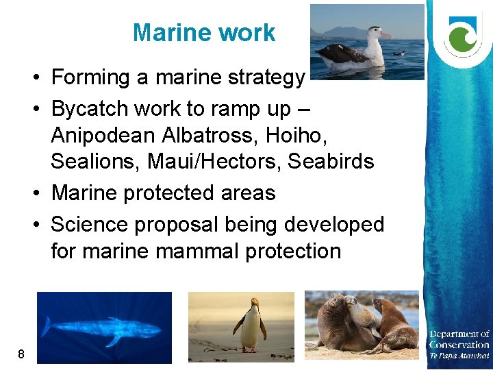 Marine work • Forming a marine strategy • Bycatch work to ramp up –