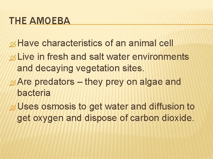 THE AMOEBA Have characteristics of an animal cell Live in fresh and salt water