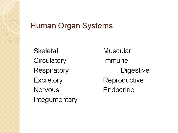 Human Organ Systems Skeletal Circulatory Respiratory Excretory Nervous Integumentary Muscular Immune Digestive Reproductive Endocrine