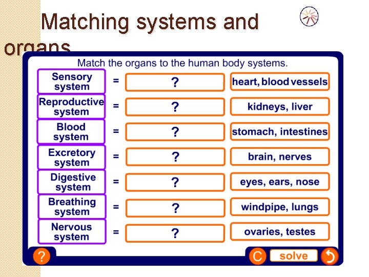 Matching systems and organs 