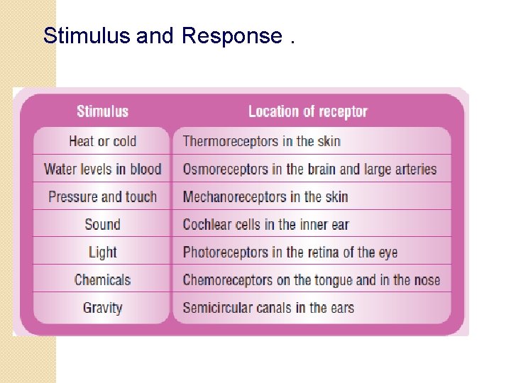 Stimulus and Response. 