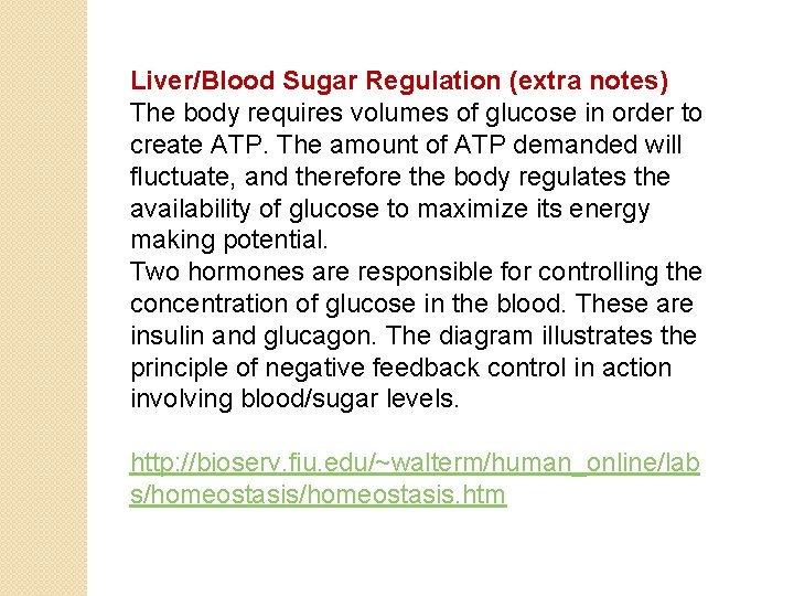 Liver/Blood Sugar Regulation (extra notes) The body requires volumes of glucose in order to