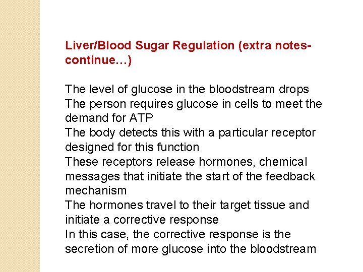 Liver/Blood Sugar Regulation (extra notescontinue…) The level of glucose in the bloodstream drops The
