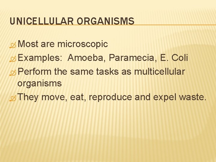 UNICELLULAR ORGANISMS Most are microscopic Examples: Amoeba, Paramecia, E. Coli Perform the same tasks