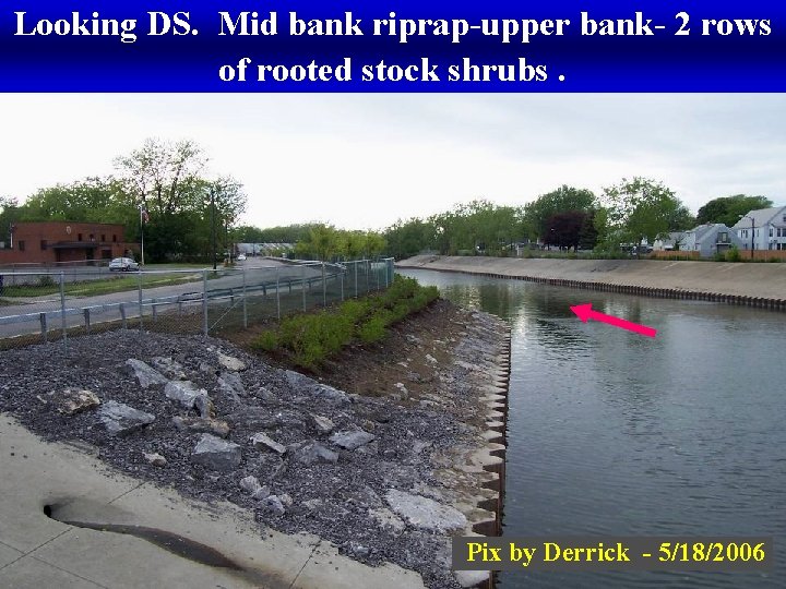 Looking DS. Mid bank riprap-upper bank- 2 rows of rooted stock shrubs. Pix by