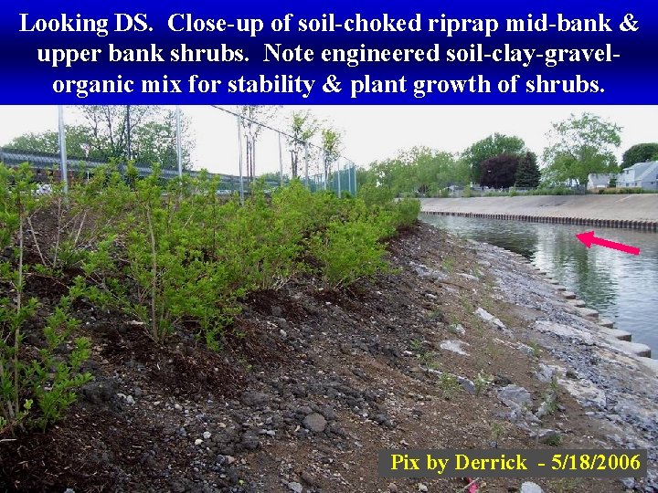 Looking DS. Close-up of soil-choked riprap mid-bank & upper bank shrubs. Note engineered soil-clay-gravelorganic
