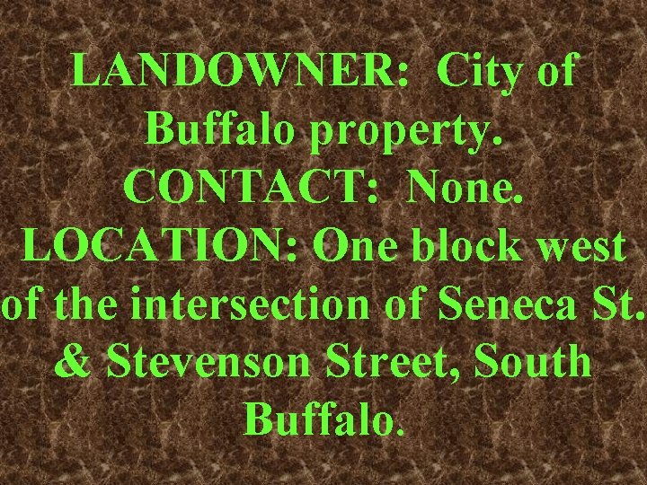 LANDOWNER: City of Buffalo property. CONTACT: None. LOCATION: One block west of the intersection