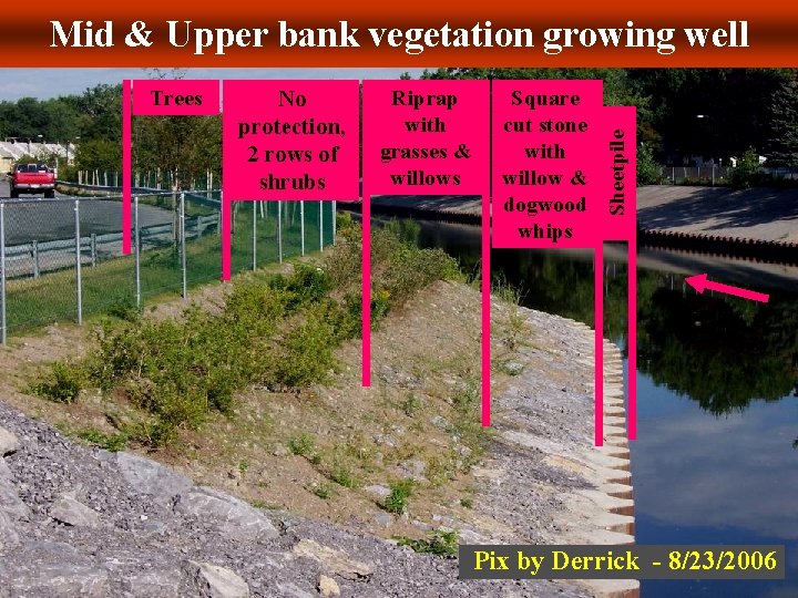 Trees No protection, 2 rows of shrubs Riprap with grasses & willows Square cut