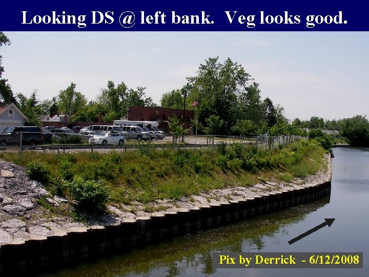 Looking DS @ left bank. Veg looks good. Pix by Derrick - 6/12/2008 