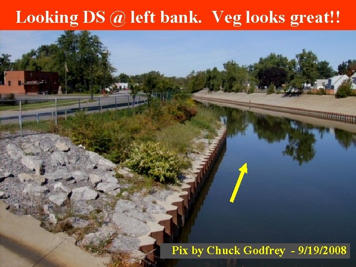 Looking DS @ left bank. Veg looks great!! Pix by Chuck Godfrey - 9/19/2008