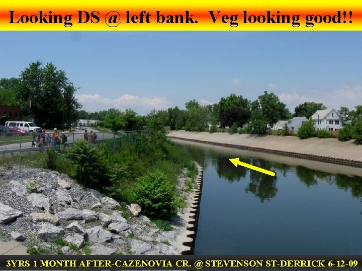 Looking DS @ left bank. Veg looking good!! 3 YRS 1 MONTH AFTER-CAZENOVIA CR.