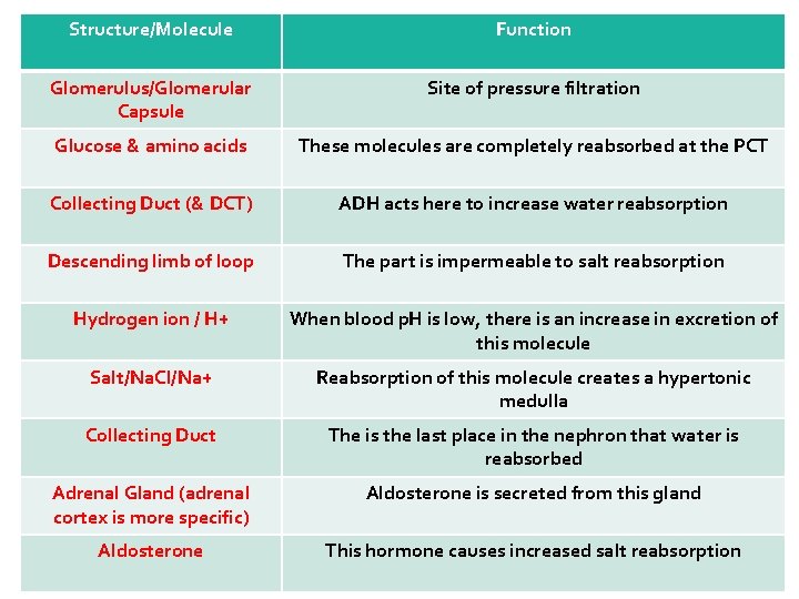 Structure/Molecule Function Glomerulus/Glomerular Capsule Site of pressure filtration Glucose & amino acids These molecules