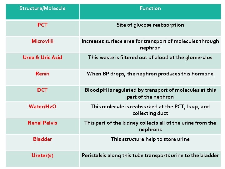 Structure/Molecule Function PCT Site of glucose reabsorption Microvilli Increases surface area for transport of