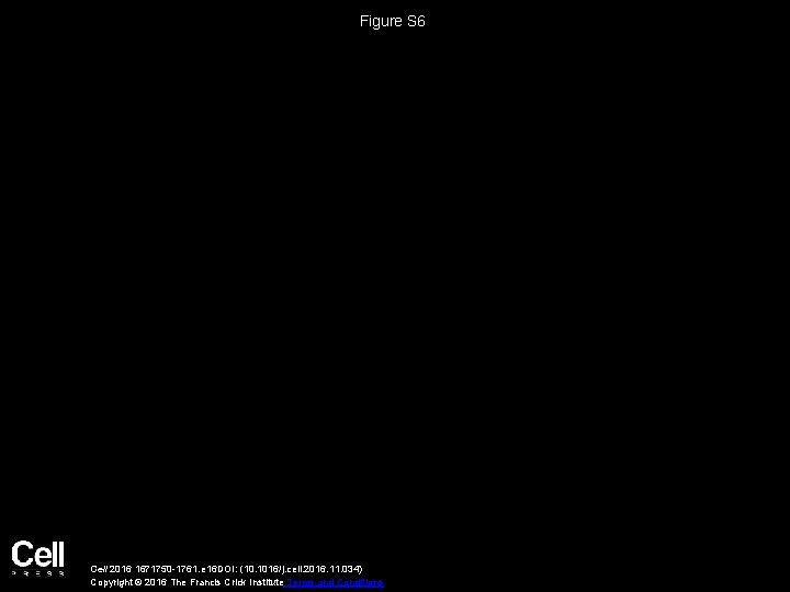 Figure S 6 Cell 2016 1671750 -1761. e 16 DOI: (10. 1016/j. cell. 2016.