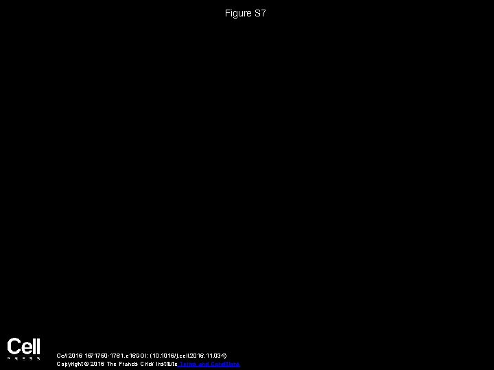 Figure S 7 Cell 2016 1671750 -1761. e 16 DOI: (10. 1016/j. cell. 2016.
