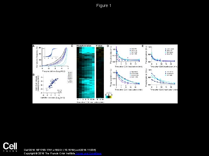 Figure 1 Cell 2016 1671750 -1761. e 16 DOI: (10. 1016/j. cell. 2016. 11.