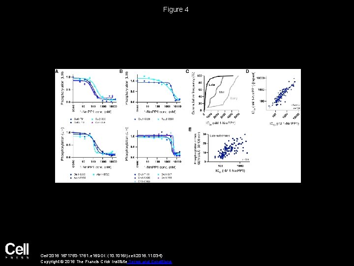 Figure 4 Cell 2016 1671750 -1761. e 16 DOI: (10. 1016/j. cell. 2016. 11.