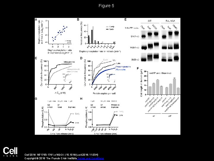 Figure 5 Cell 2016 1671750 -1761. e 16 DOI: (10. 1016/j. cell. 2016. 11.