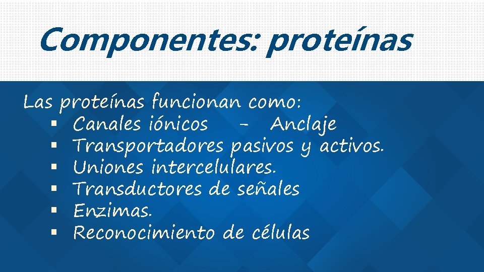 Componentes: proteínas Las proteínas funcionan como: Canales iónicos - Anclaje Transportadores pasivos y activos.