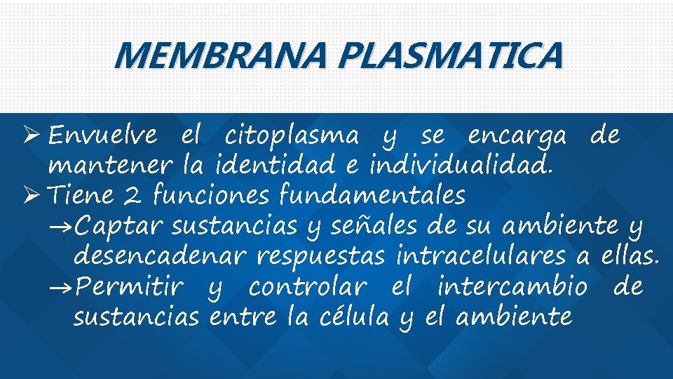 MEMBRANA PLASMATICA Ø Envuelve el citoplasma y se encarga de mantener la identidad e