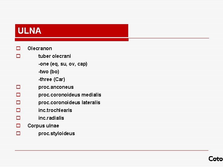 ULNA o o Olecranon tuber olecrani -one (eq, su, ov, cap) -two (bo) -three