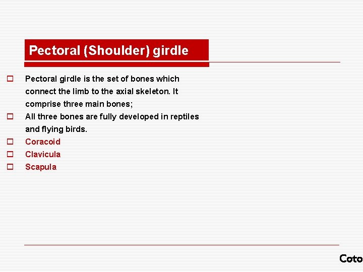 Pectoral (Shoulder) girdle o Pectoral girdle is the set of bones which connect the