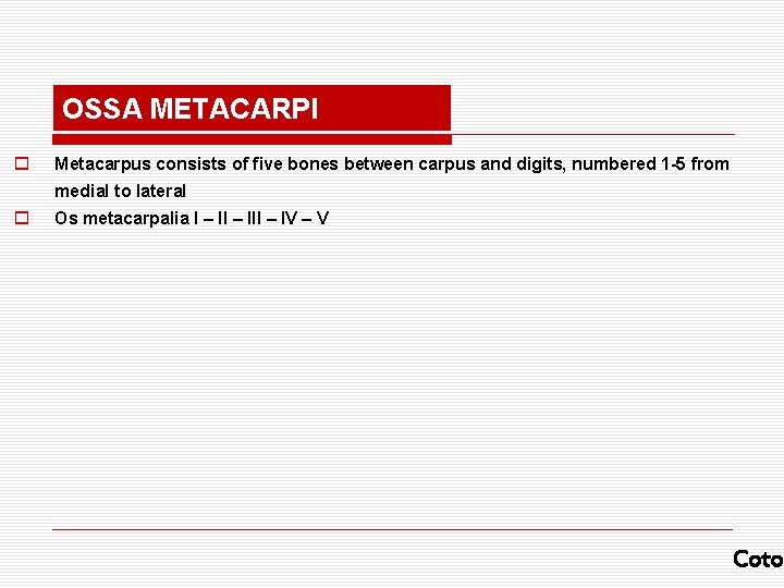OSSA METACARPI o Metacarpus consists of five bones between carpus and digits, numbered 1
