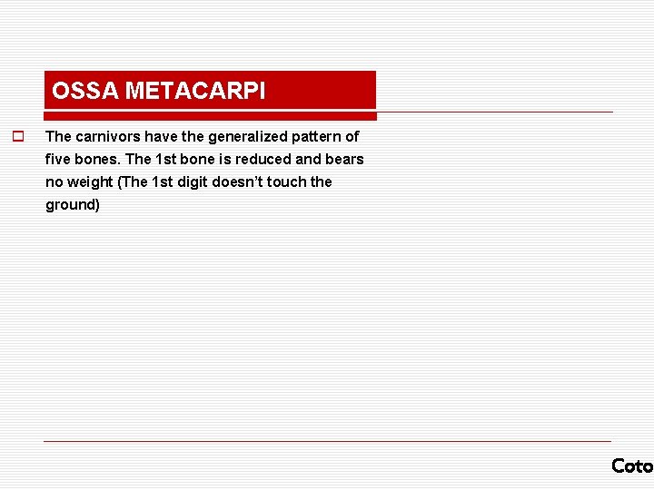 OSSA METACARPI o The carnivors have the generalized pattern of five bones. The 1