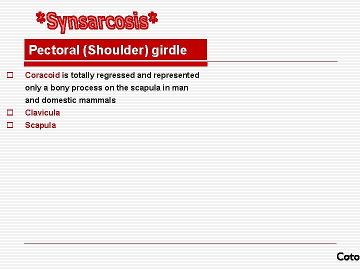 Pectoral (Shoulder) girdle o Coracoid is totally regressed and represented only a bony process