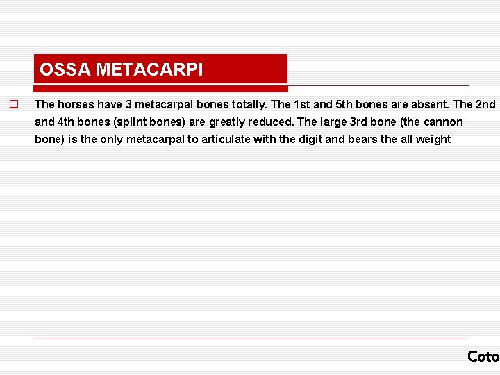 OSSA METACARPI o The horses have 3 metacarpal bones totally. The 1 st and