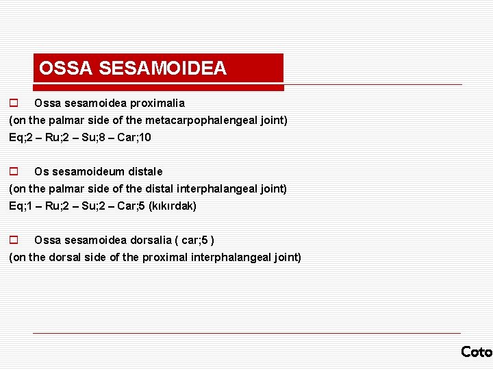 OSSA SESAMOIDEA o Ossa sesamoidea proximalia (on the palmar side of the metacarpophalengeal joint)