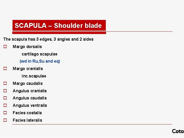 SCAPULA – Shoulder blade The scapula has 3 edges, 3 angles and 2 sides