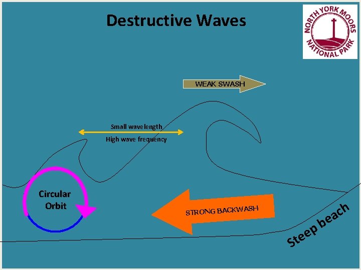 Destructive Waves WEAK SWASH Small wavelength High wave frequency Circular Orbit ASH STRONG BACKW