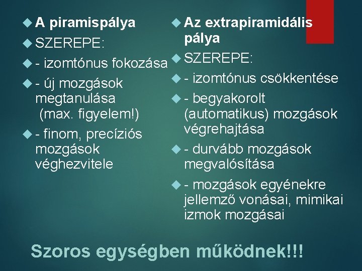  A piramispálya Az extrapiramidális pálya SZEREPE: - izomtónus fokozása SZEREPE: - izomtónus csökkentése