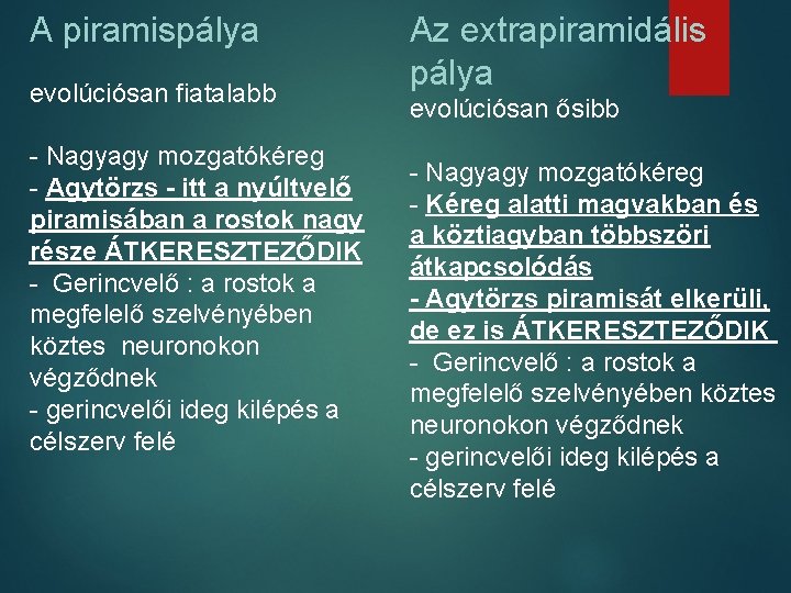 A piramispálya evolúciósan fiatalabb - Nagyagy mozgatókéreg - Agytörzs - itt a nyúltvelő piramisában