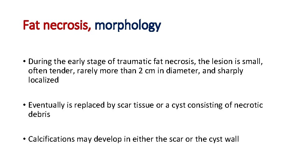 Fat necrosis, morphology • During the early stage of traumatic fat necrosis, the lesion