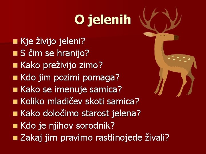 O jelenih n Kje živijo jeleni? n S čim se hranijo? n Kako preživijo