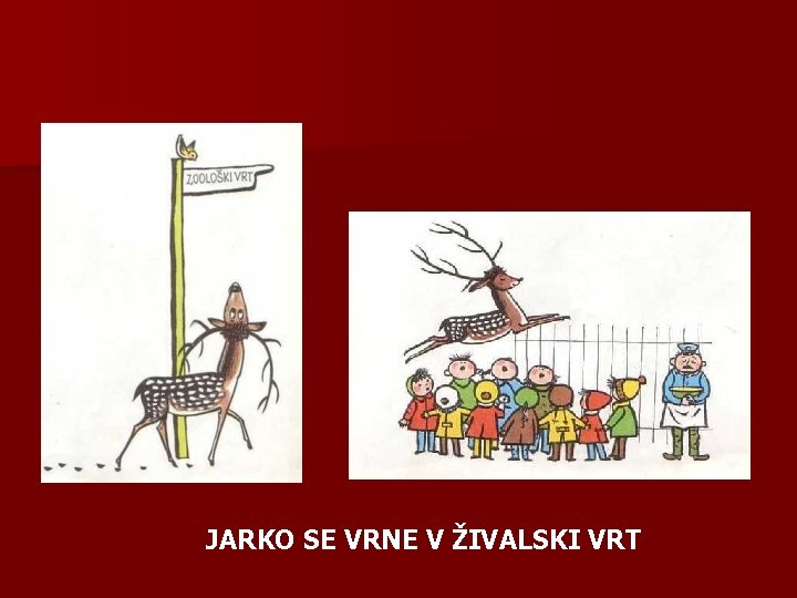 JARKO SE VRNE V ŽIVALSKI VRT 