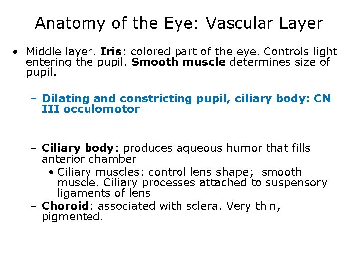 Anatomy of the Eye: Vascular Layer • Middle layer. Iris: colored part of the
