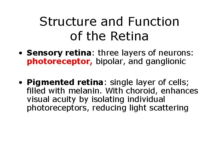 Structure and Function of the Retina • Sensory retina: three layers of neurons: photoreceptor,