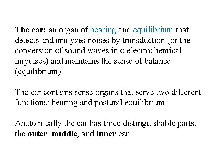The ear: an organ of hearing and equilibrium that detects and analyzes noises by