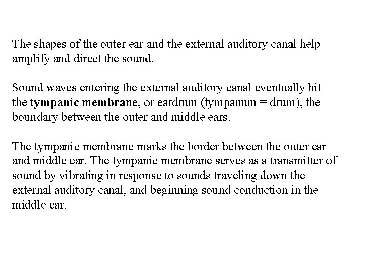 The shapes of the outer ear and the external auditory canal help amplify and