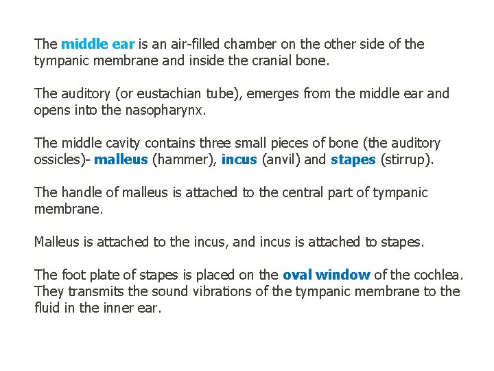The middle ear is an air-filled chamber on the other side of the tympanic