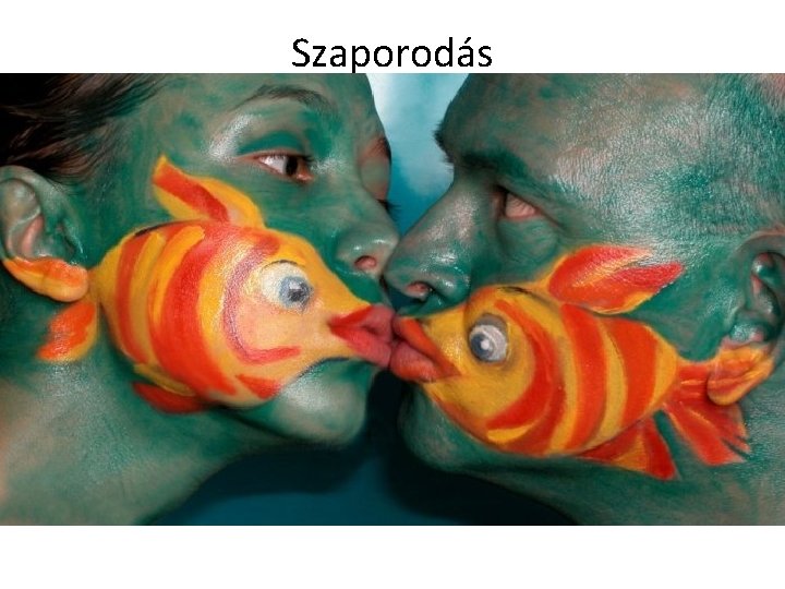 Szaporodás Szaporodás