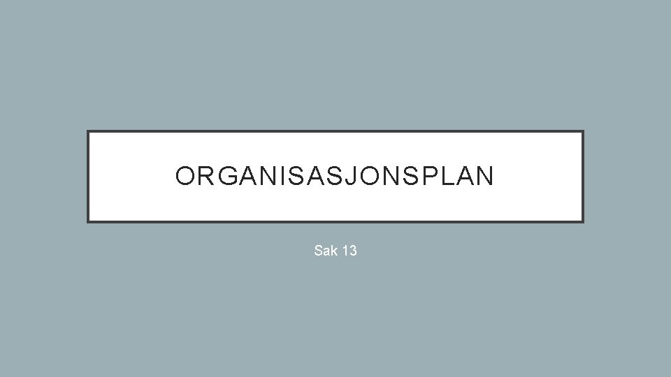 ORGANISASJONSPLAN Sak 13 