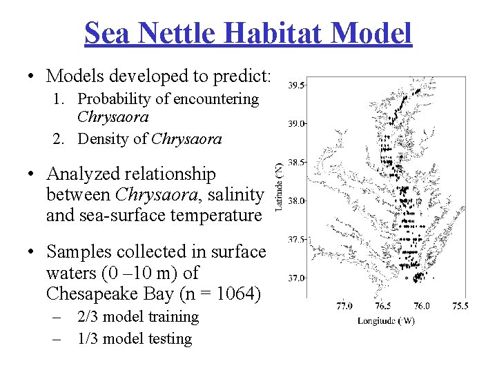 Sea Nettle Habitat Model • Models developed to predict: 1. Probability of encountering Chrysaora