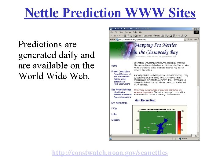 Nettle Prediction WWW Sites Predictions are generated daily and are available on the World