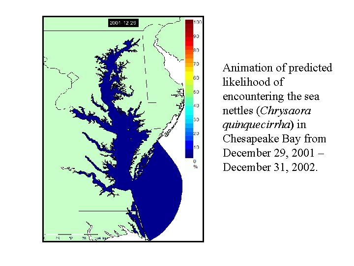 Animation of predicted likelihood of encountering the sea nettles (Chrysaora quinquecirrha) in Chesapeake Bay